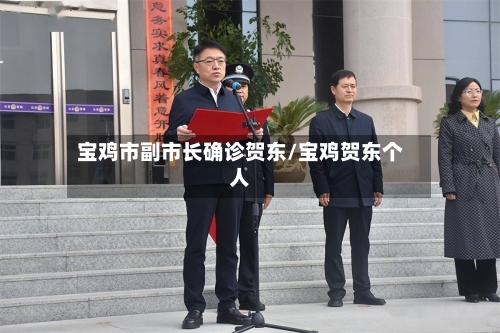 宝鸡市副市长确诊贺东/宝鸡贺东个人