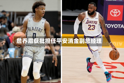 詹乔眉获批担任平安消金副总经理
