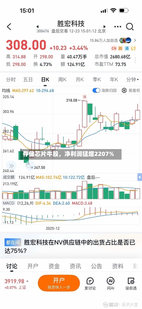 存储芯片牛股，净利润猛增2207%-第2张图片