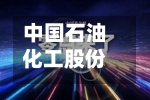中国石油化工股份连续2日回购，累计回购462.60万股-第2张图片