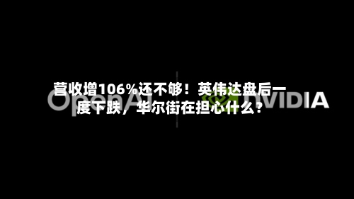 营收增106%还不够！英伟达盘后一度下跌，华尔街在担心什么？-第2张图片