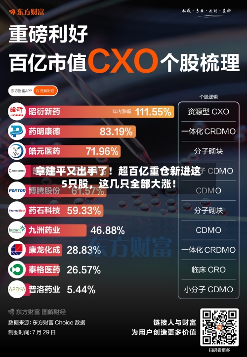 章建平又出手了！超百亿重仓新进这5只股，这几只全部大涨！-第2张图片