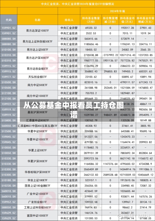 从公募基金中报看员工持仓图谱