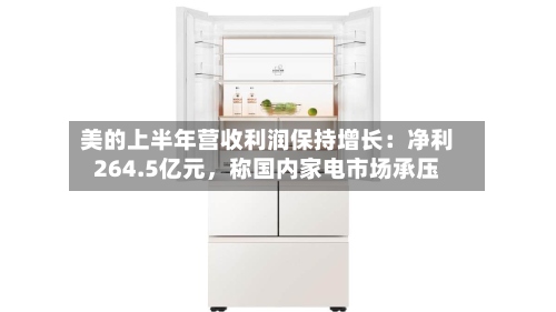 美的上半年营收利润保持增长：净利264.5亿元，称国内家电市场承压-第3张图片