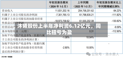 沐曦股份上半年净利润6.12亿元，同比扭亏为盈-第2张图片