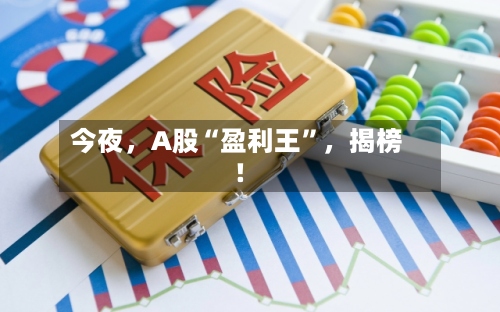 今夜，A股“盈利王”	，揭榜！-第3张图片