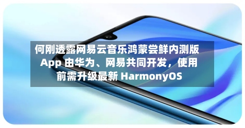 何刚透露网易云音乐鸿蒙尝鲜内测版 App 由华为、网易共同开发，使用前需升级最新 HarmonyOS