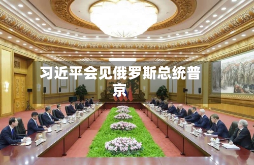 习近平会见俄罗斯总统普京-第3张图片