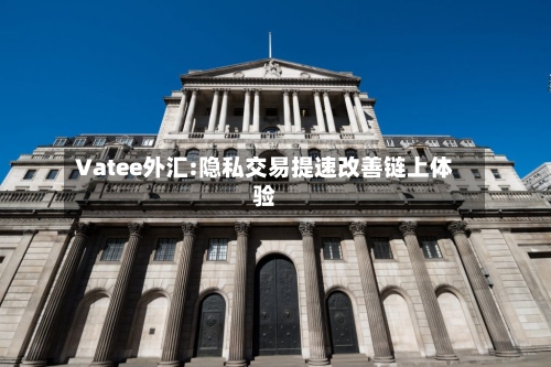 Vatee外汇:隐私交易提速改善链上体验-第1张图片
