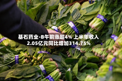 基石药业-B午前涨超4% 上半年收入2.05亿元同比增加314.75%-第1张图片