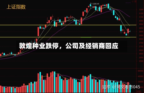 敦煌种业跌停，公司及经销商回应