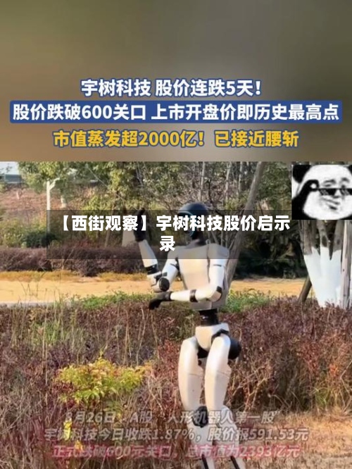 【西街观察】宇树科技股价启示录-第2张图片