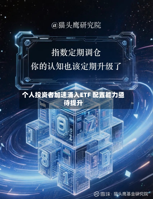 个人投资者加速涌入ETF 配置能力亟待提升-第3张图片