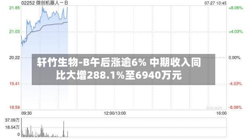 轩竹生物-B午后涨逾6% 中期收入同比大增288.1%至6940万元-第2张图片