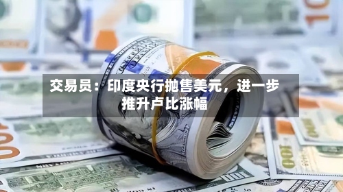 交易员：印度央行抛售美元	，进一步推升卢比涨幅-第2张图片