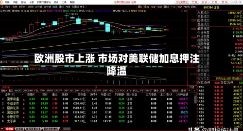 欧洲股市上涨 市场对美联储加息押注降温-第2张图片