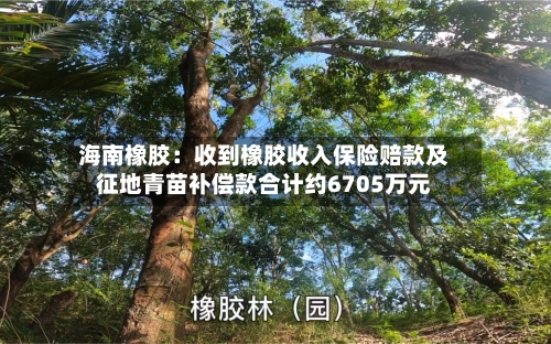 海南橡胶：收到橡胶收入保险赔款及征地青苗补偿款合计约6705万元-第2张图片