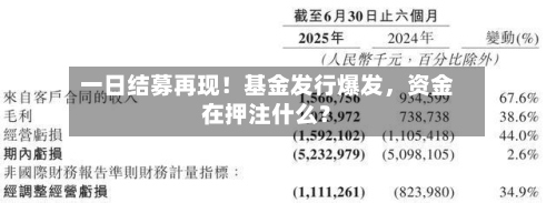 一日结募再现！基金发行爆发，资金在押注什么？-第2张图片