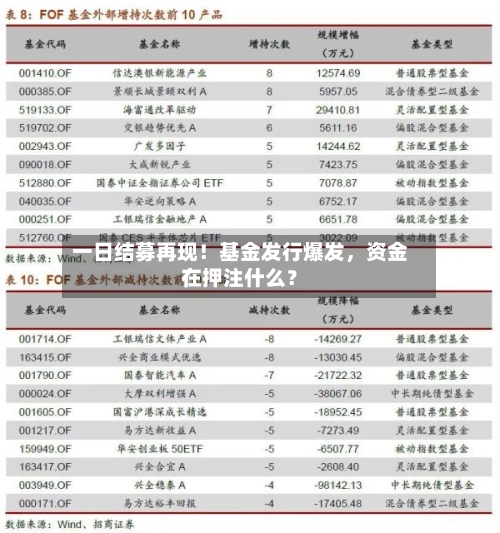 一日结募再现！基金发行爆发	，资金在押注什么？-第3张图片