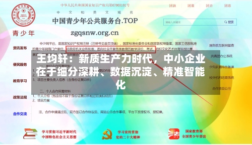 王均轩：新质生产力时代，中小企业在于细分深耕、数据沉淀、精准智能化