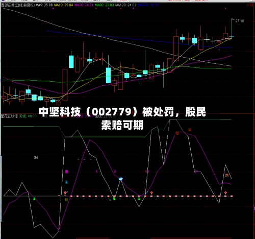 中坚科技（002779）被处罚，股民索赔可期-第2张图片