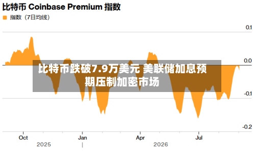 比特币跌破7.9万美元 美联储加息预期压制加密市场-第2张图片