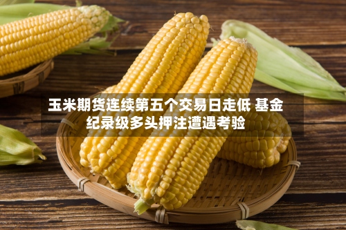 玉米期货连续第五个交易日走低 基金纪录级多头押注遭遇考验
