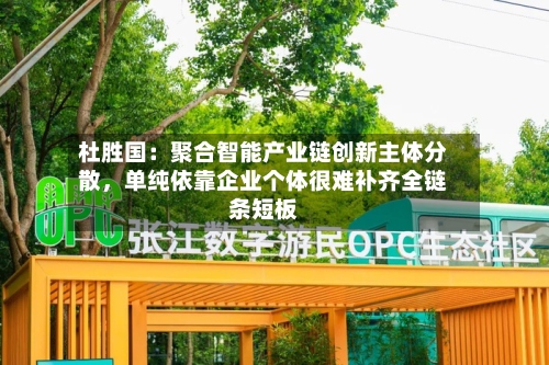 杜胜国：聚合智能产业链创新主体分散，单纯依靠企业个体很难补齐全链条短板-第2张图片